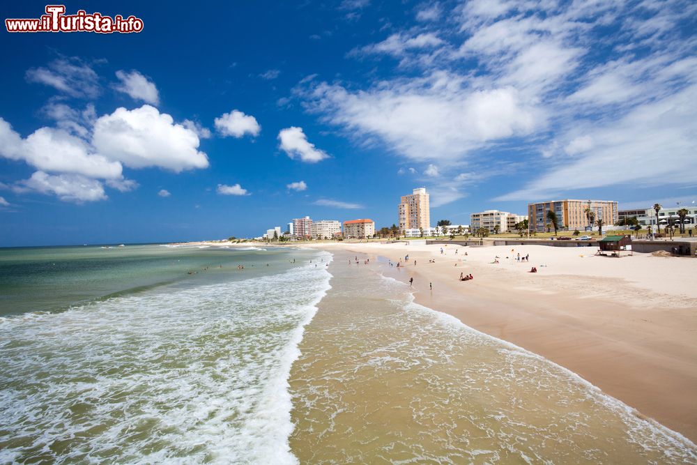 Immagine La spiaggia di Hobie Beach a Port Elizabeth, siamo in Sudafrica