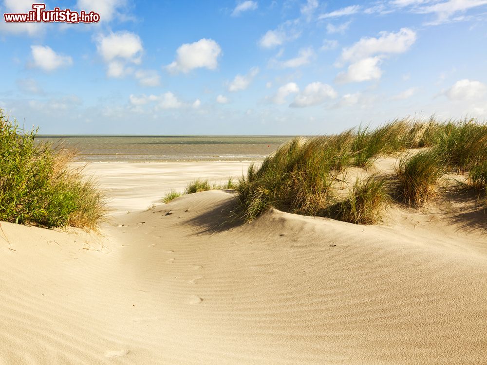 Immagine La spiaggia di Knokke-heist, lunga la costa del mare del Nord, in Belgio