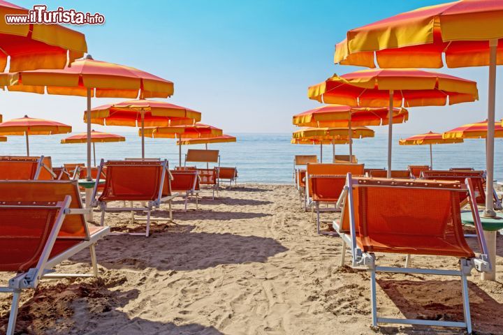 Le foto di cosa vedere e visitare a Lido di Classe