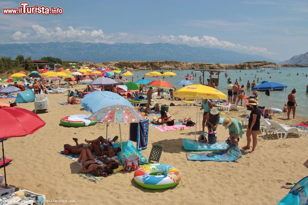 Immagine La spiaggia di Livacina, a Lopar, isola di Rab in Croazia - © Uta Scholl / Shutterstock.com