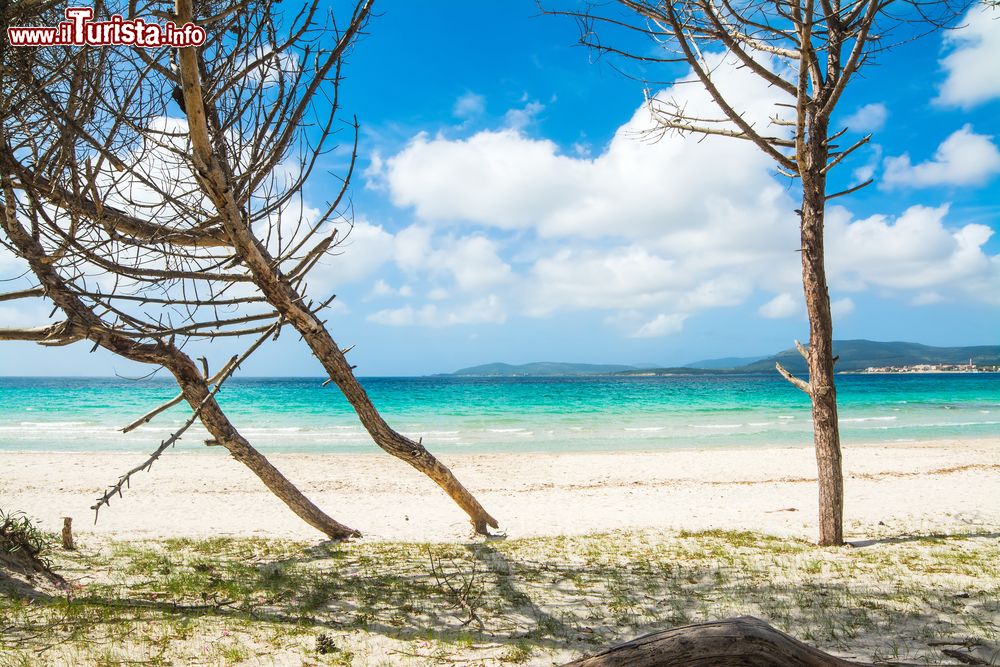 Immagine La Spiaggia di Maria Pia in Alghero, Sardegna nord-occidentale.