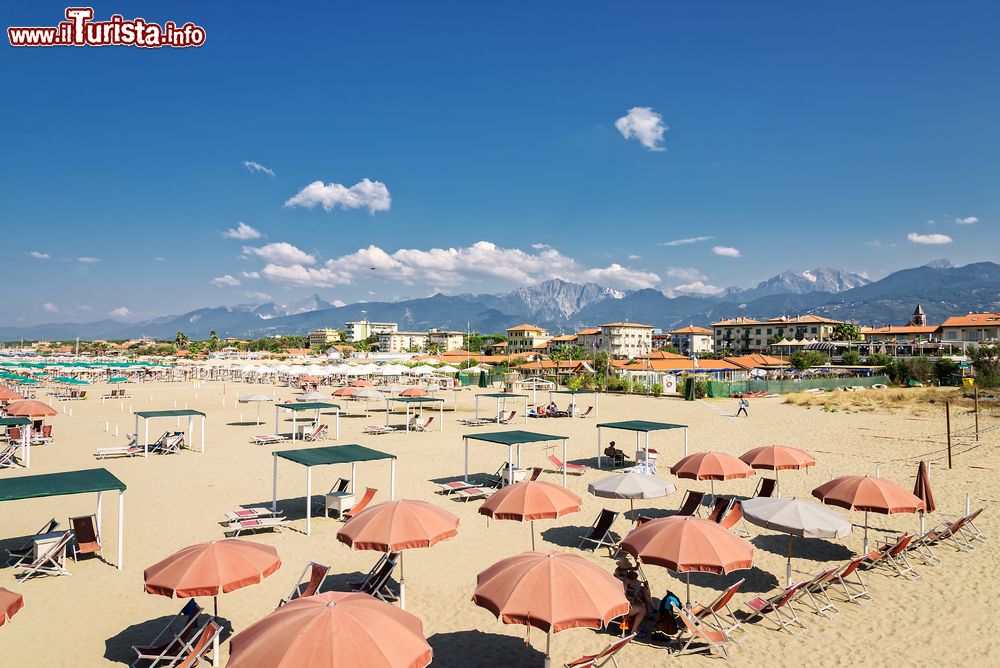 Immagine La spiaggia di Marina di Pietrasanta in Versilia, sullo sfondo le Alpi Apuane della Toscana