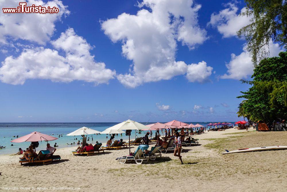 Immagine La spiaggia di Pamplemousses, isola di  Mauritius. L'arenile più prossimo alla cittadina è quello di  Trou aux Biches, Mauritius. - © Phuong D. Nguyen / Shutterstock.com