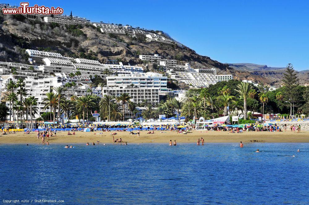Immagine La spiaggia di Puerto Rico beach a Gran Canaria, l'isola centrale dell'arcipelago delle Canarie in Spagna - © nito / Shutterstock.com