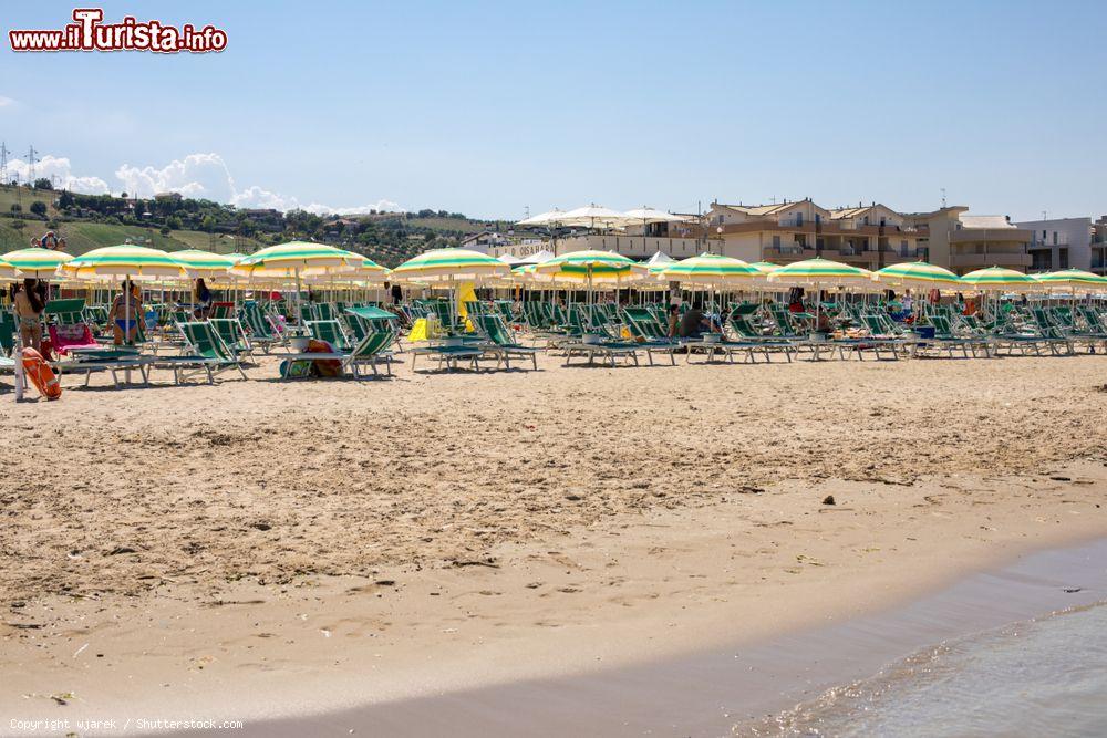 Immagine La spiaggia di Roseto degli Abruzzi (Abruzzo) con sdrai e ombrelloni. Questa località è nota anche come Lido delle Rose per la grande varietà di questo fiore - © wjarek / Shutterstock.com