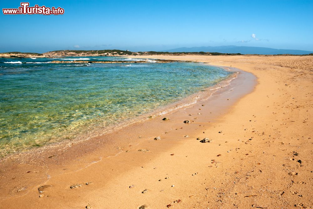 Le foto di cosa vedere e visitare a San Vero Milis