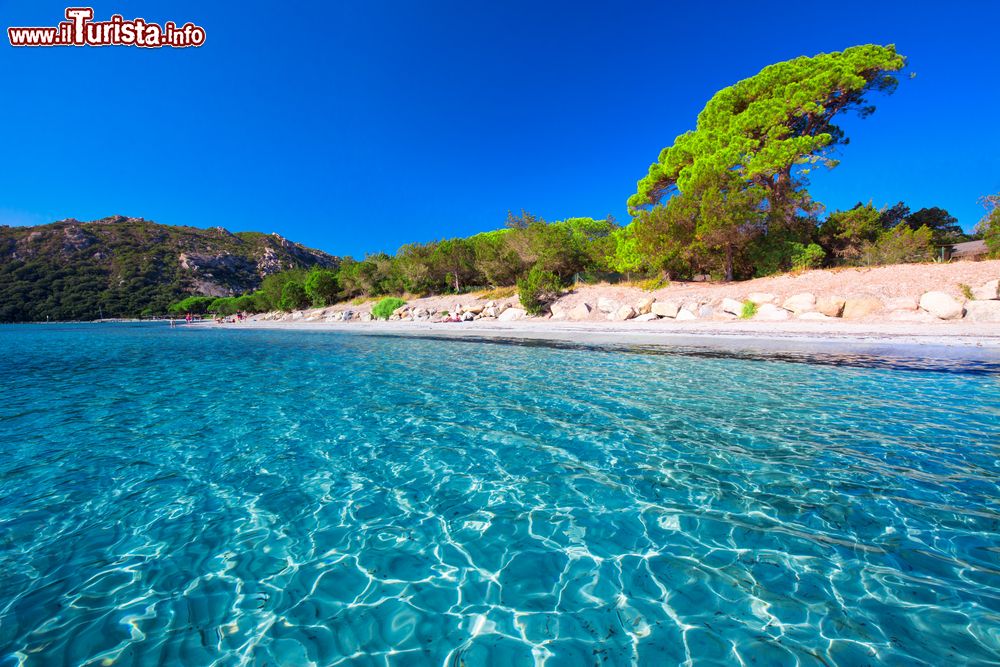 Immagine La spiaggia di Saleccia in Corsica