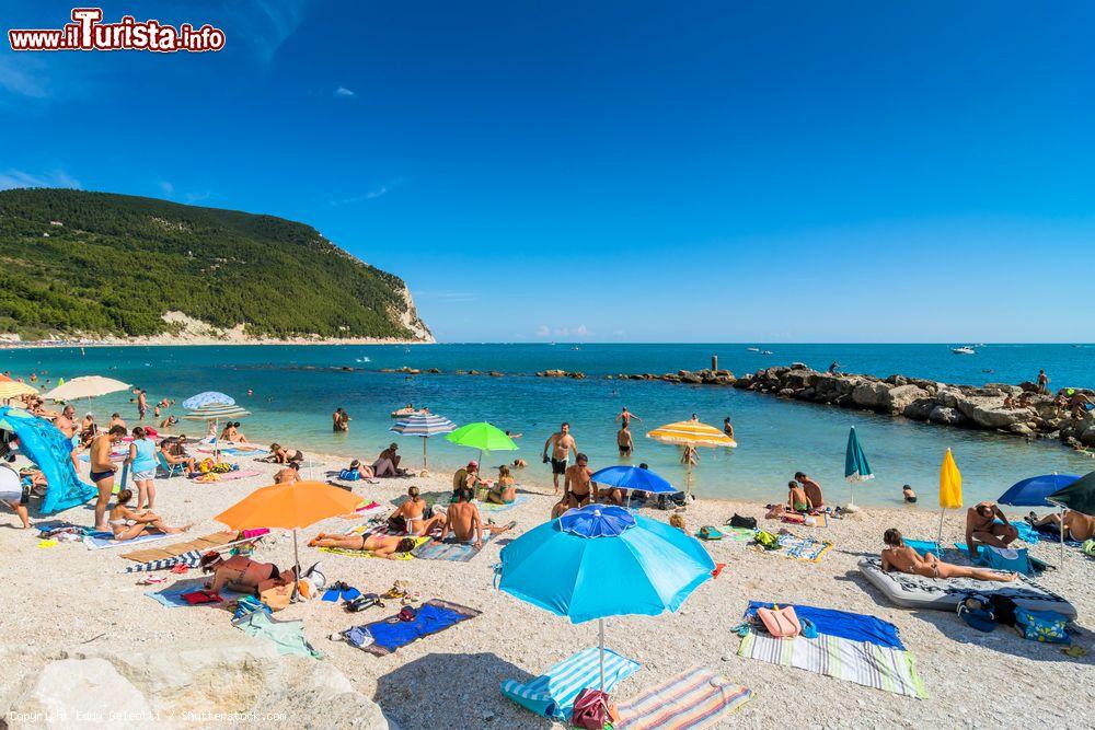 Immagine La spiaggia di San Michele a Sirolo, sulla riviera del Conero nelle Marche - © Eddy Galeotti / Shutterstock.com