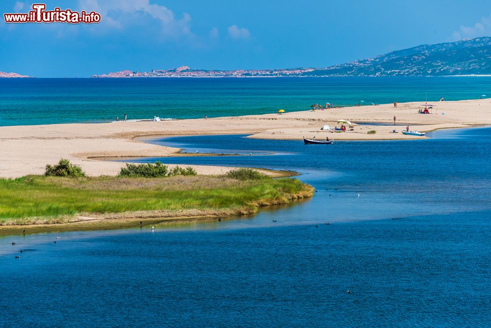 Immagine La spiaggia di San Pietro a Mare vicino a Valledoria in Sardegna