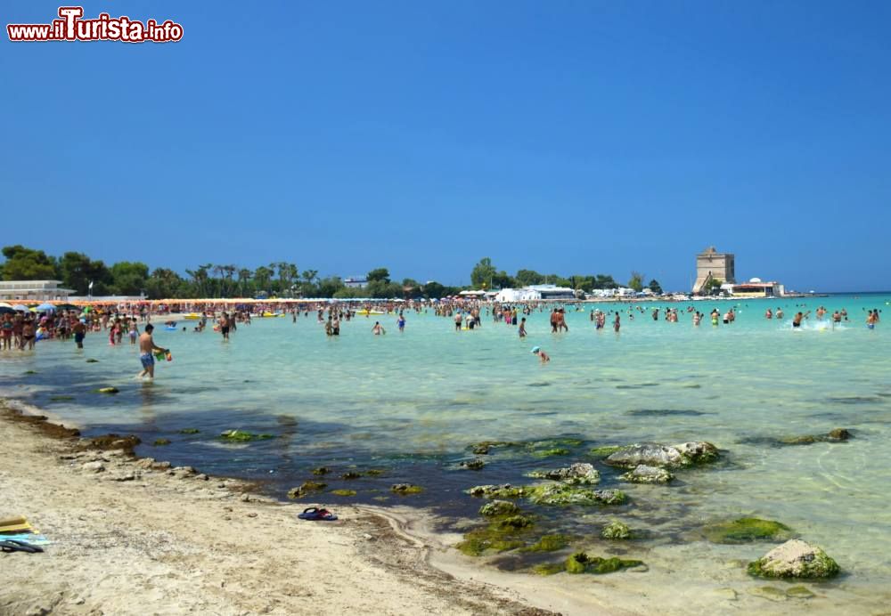 Immagine La spiaggia di Sant'Isidoro e il mare limpido del Salento in Puglia