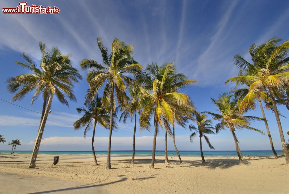 Immagine La spiaggia di Santa Maria del Mar, a Cuba.
