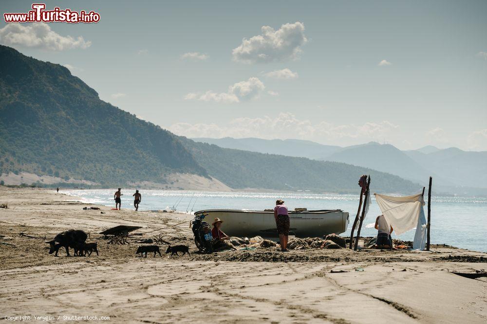 Immagine La spiaggia di Velipoje, frazione di Scutari in Albania, Mare Adriatico - © Yarygin / Shutterstock.com