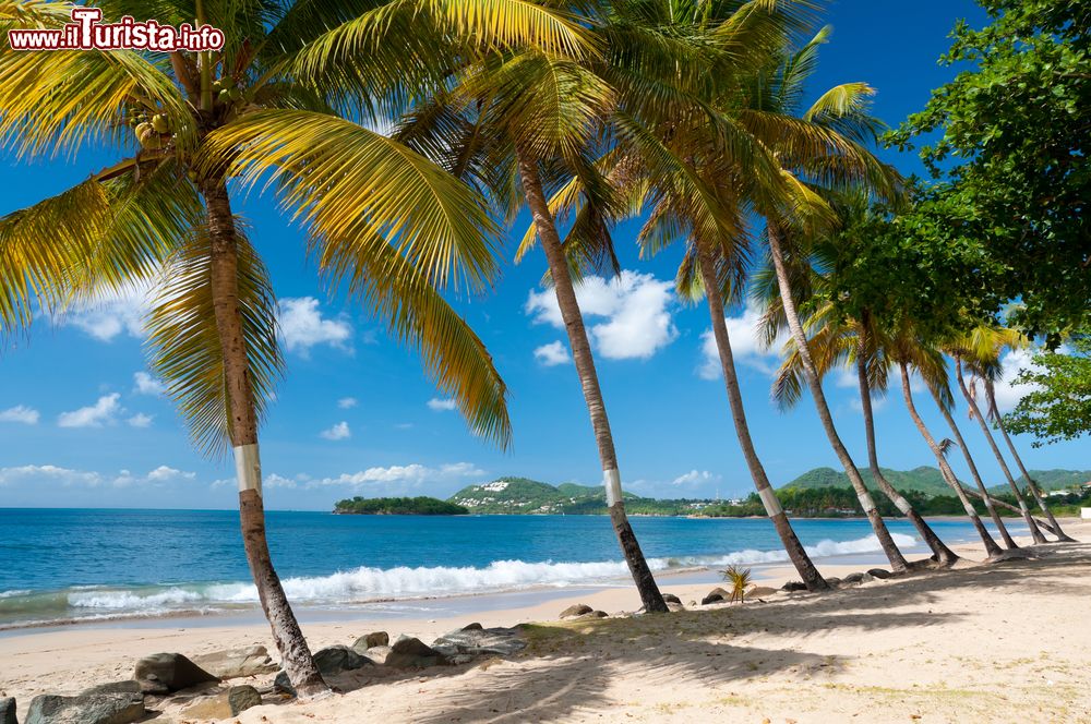 Immagine La spiaggia di Vigie Beach nei pressi di Choc Bay, isola di Saint Lucia, Caraibi.