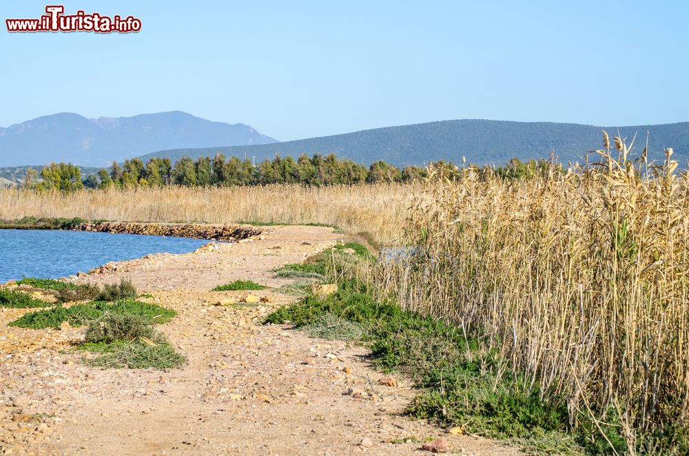 Immagine La spiaggia e la laguna di Porto Botte in Sardegna, vicino a San Giovanni Suergiu