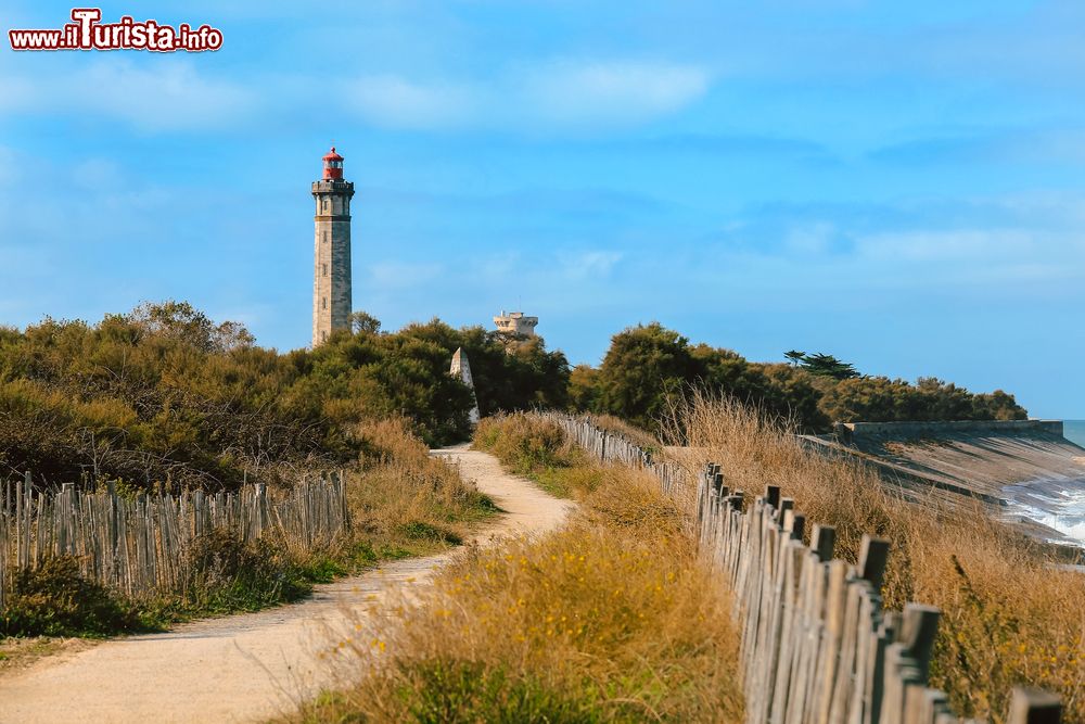 Immagine La spiaggia e la Torre delle Balene sull'isola di Ré, Francia. Questo grande faro nei pressi della costa dell'isola è immerso in una natura verde e rigogliosa.