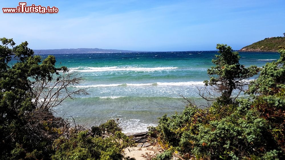 Immagine La Spiaggia Grande di Calasetta in Sardegna.