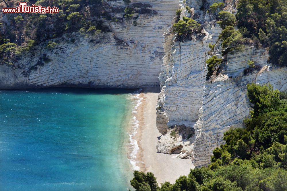 Immagine La spiaggia libera di Baia delle Zagare sul Gargano, costa settentrionale della Puglia