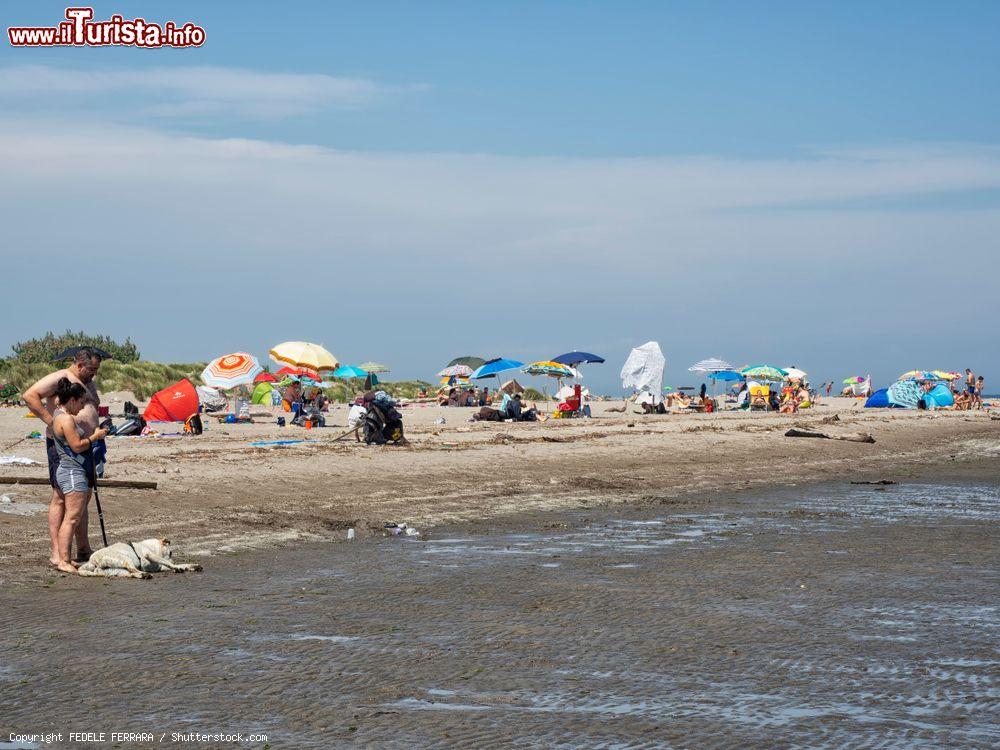 Immagine La spiaggia libera di Rosolina Mare in provincia di Rovigo, Veneto - © FEDELE FERRARA / Shutterstock.com