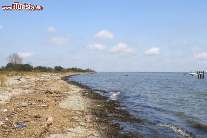 Immagine La spiaggia selvaggia a nord di Lido di Volano, in direzione della  foce del ramo più meridionale del fiume Po 