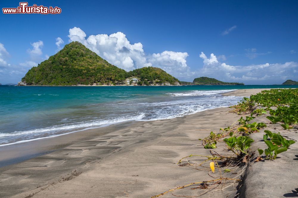 Immagine La splendida Levera Beach sulla punta nord di Grenada, America Centrale. Di notte, da marzo a agosto, questo tratto di litorale è chiuso al pubblico per la stagione di nidificazione delle tartarughe.