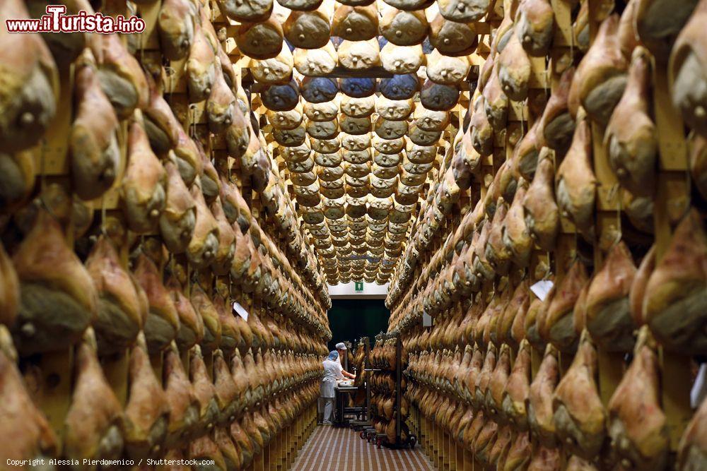 Immagine La stagionatura dei prosciutti, una delle eccellenze di Langhirano, Emilia Romagna - © Alessia Pierdomenico / Shutterstock.com