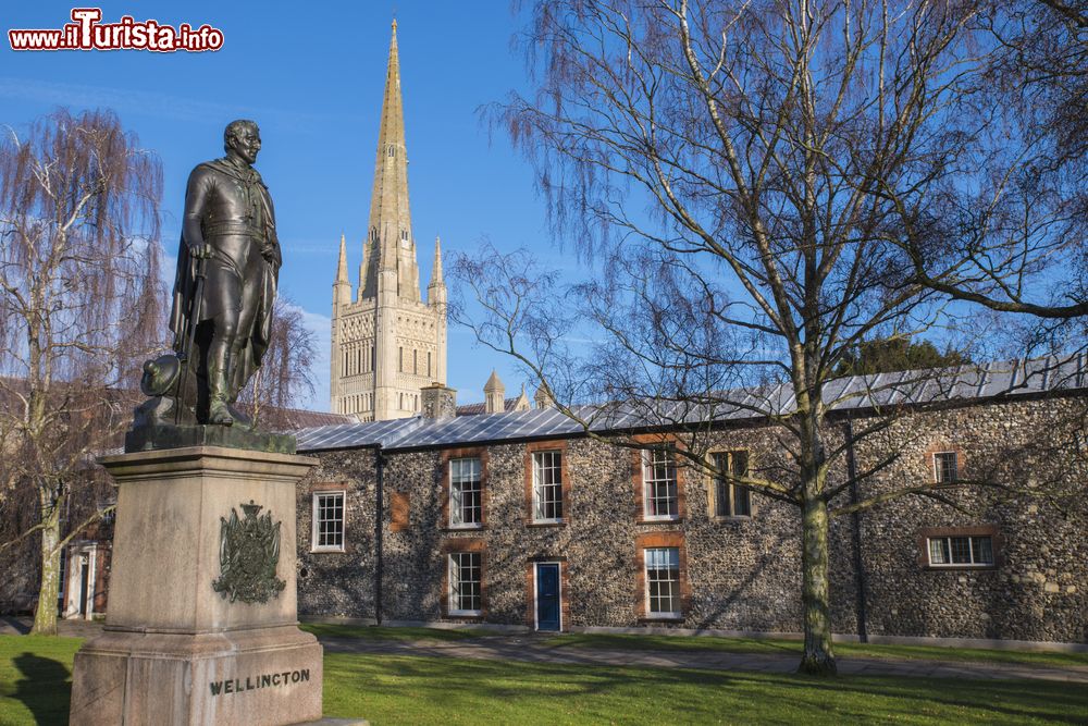 Immagine La statua del duca di Wellington con la cattedrale di Norwich sullo sfondo (Norfolk), Inghilterra.