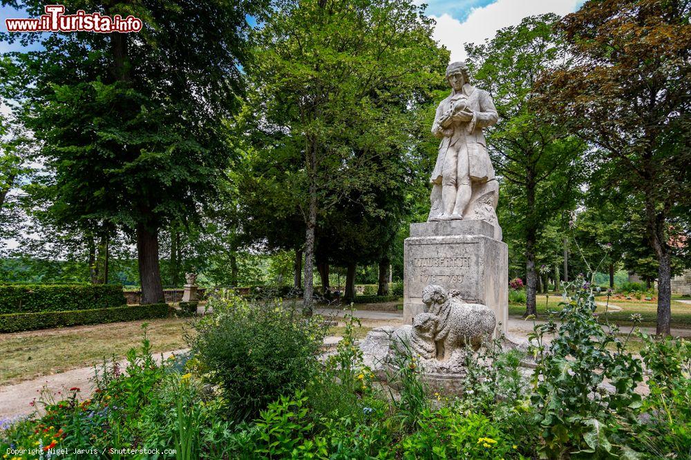 Immagine La statua di  Louis Daubenton al Buffon Park, castello di Montbard, Francia  - © Nigel Jarvis / Shutterstock.com