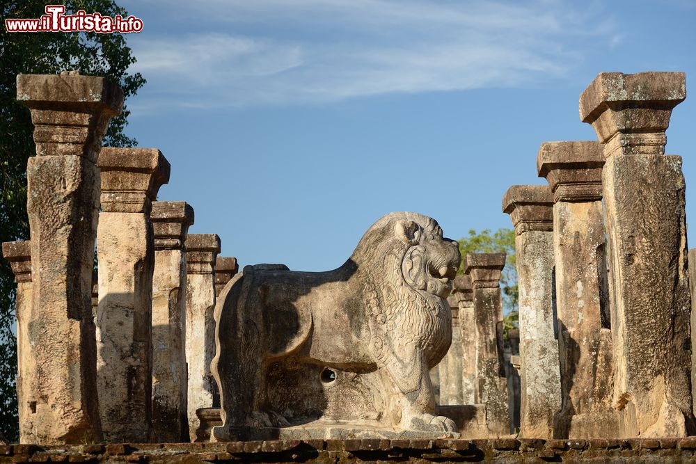 Immagine La statua di un leone fra colonne nell'antica Polonnaruwa, Sri Lanka. Siamo nel Nissanka Mallas Palace, la dimora del re noto anche come Kirti Nissanka e Kalinga Lokesvara che guidò il paese dal 1187 al 1196.