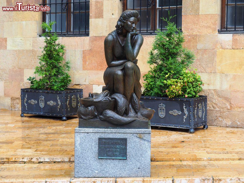 Immagine La statua in bronzo nota come la Pescadera a Oviedo, Spagna. E' stata realizzata in onore di  Saturnina Requejo e si trova nei pressi della piazza Trascorrales - © Isa Fernandez Fernandez / Shutterstock.com