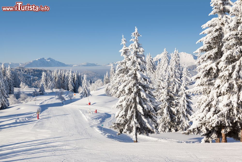 Immagine La stazione sciistica di Les Gets, Francia: quest'area comprende 650 km di piste fra Svizzera e Francia.