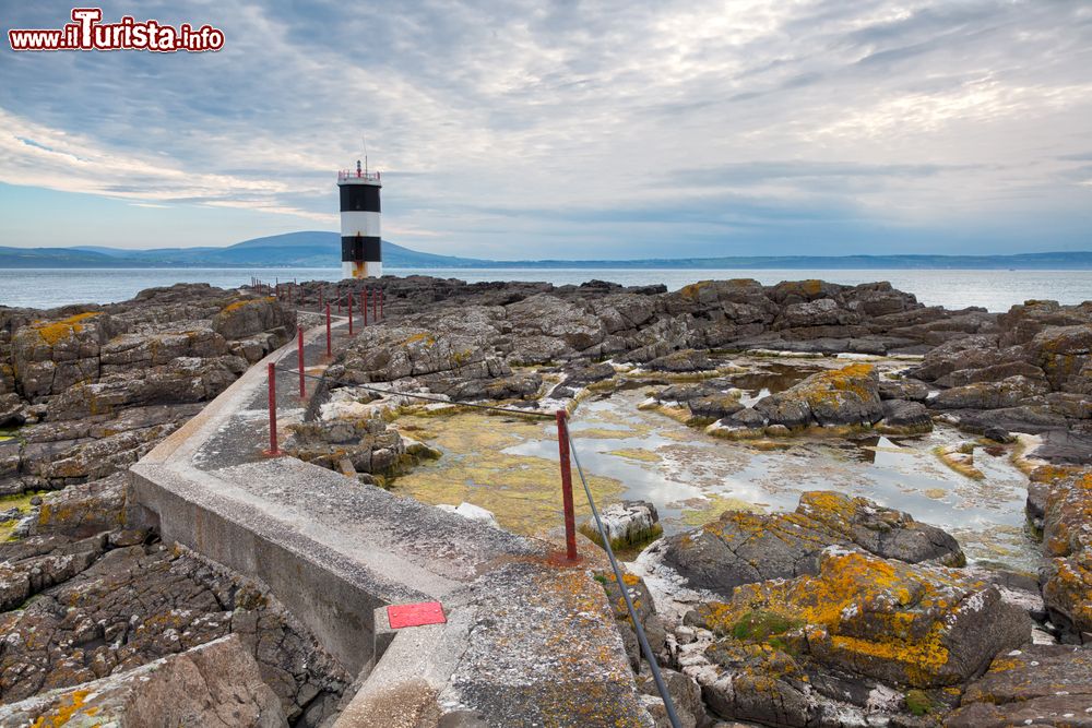 Immagine La strada che porta al faro dull'isola di Rathlin, Irlanda del Nord.