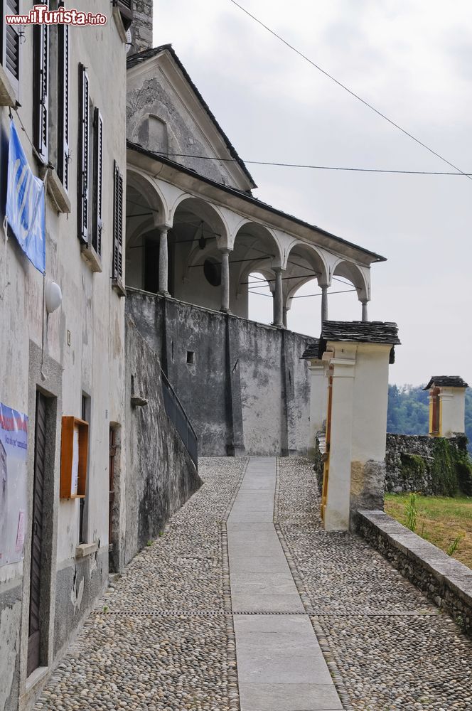 Immagine la strada di accesso al complesso di San Clemente a Cesara