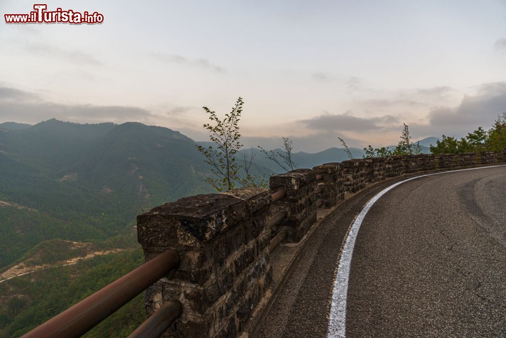 Immagine La strade del Passo della Calla, nel tratto che da Corniolo sale verso Campigna