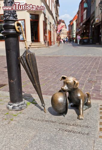 Immagine La stuatua di Filus, il cane del Professor Filutek, a Torun, Polonia. Creata dallo scultore Zbigniew Mikielewicz, quest'opera in bronzo ritrae il timido amico a quattro zampe di Filutek, personaggio protagonsita dei cartoni di Zbigniew Lengren. La statua si trova fra Szewka e Chetmiska ed è divenuta meta imperdibile per gli appassionati dei fumetti: l'adorabile cagnolino regge la bombetta del padrone e attende accanto al suo onnipresente ombrello - © Joymsk / Shutterstock.com