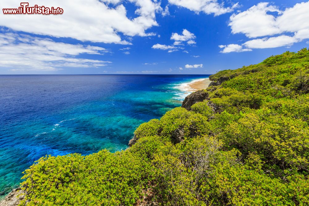 Immagine La suggestiva scogliera di Hikutavake a Alofi, Niue, Oceano Pacifico. Riparata da insenature rocciose che creano vasche costiere e con alle spalle una ricca vegetazione con piantagioni di cocco e foreste tropicali, Alofi è una graziosa capitale del Pacifico.