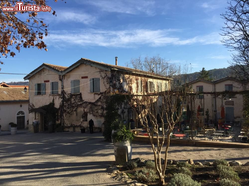 Immagine La Terrasse del complesso del Chateaux La Coste in Francia