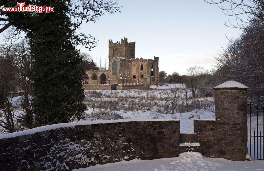 Immagine La Tintern Abbey si trova ad ovest di Wexford in Irlanda - © Marek Czerwinski, CC BY-SA 3.0, Wikipedia