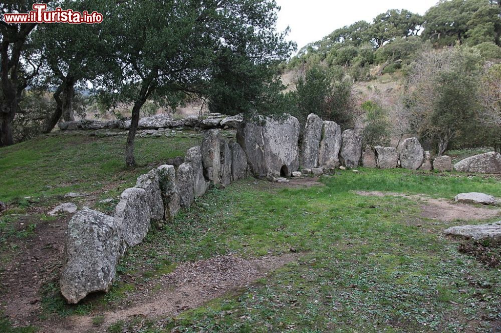 Immagine La Tomba dei giganti di Pascaredda nei dintorni di Calangianus in Sardegna