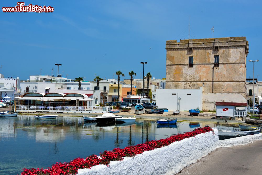 Immagine La Torre Cesarea a Porto Cesareo, provincia di Lecce (Puglia). Situata nella parte meridionale dell'abitato, questa torre di avvistamento è stata costruita con blocchi tufacei. Iniziata nel 1568, venne terminata due anni più tardi.