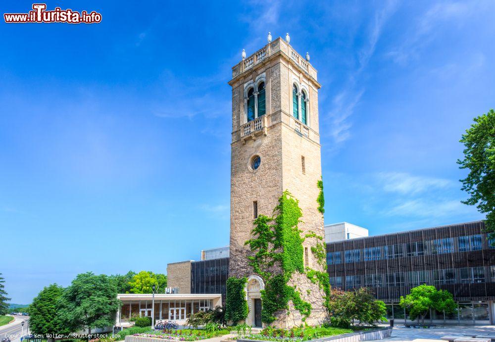 Immagine La Torre del Carillon nel campus dell'Università del Wisconsin a Madison, USA. Questa università è una delle dieci migliori degli Stati Uniti d'America - © Ken Wolter / Shutterstock.com