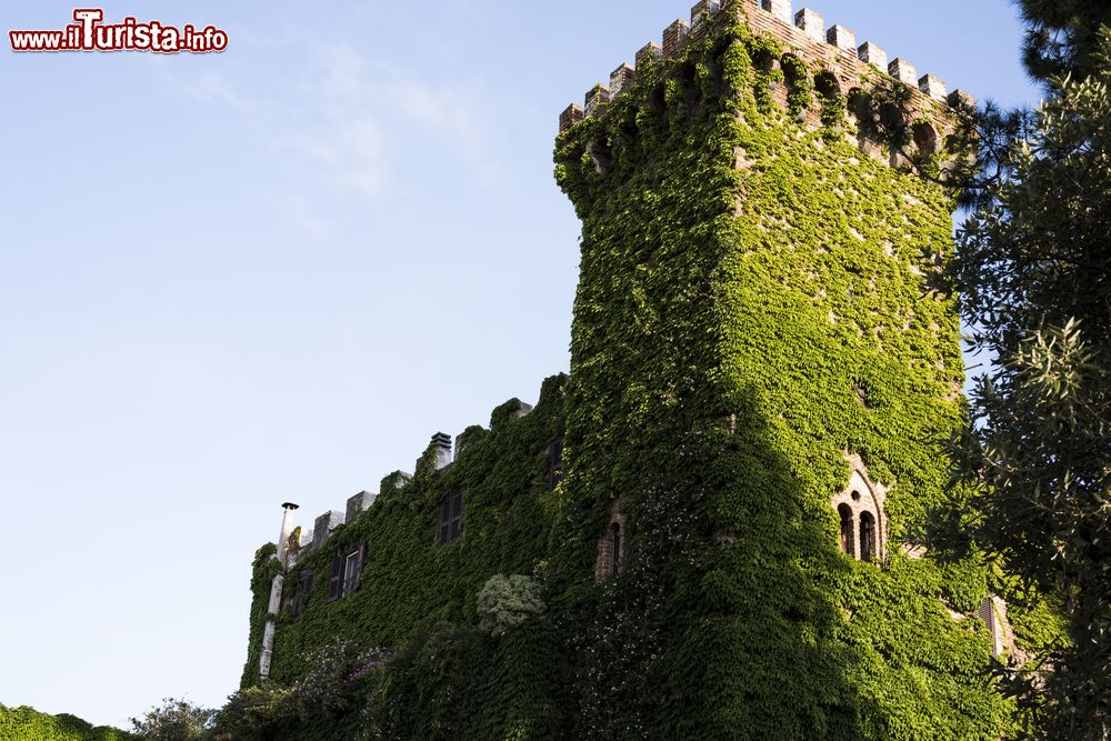 Immagine La torre del castello coperta dai rampicanti: siamo a Montalto di Castro nel Lazio