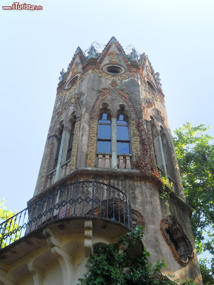 Immagine La torre del Castello di Mirano