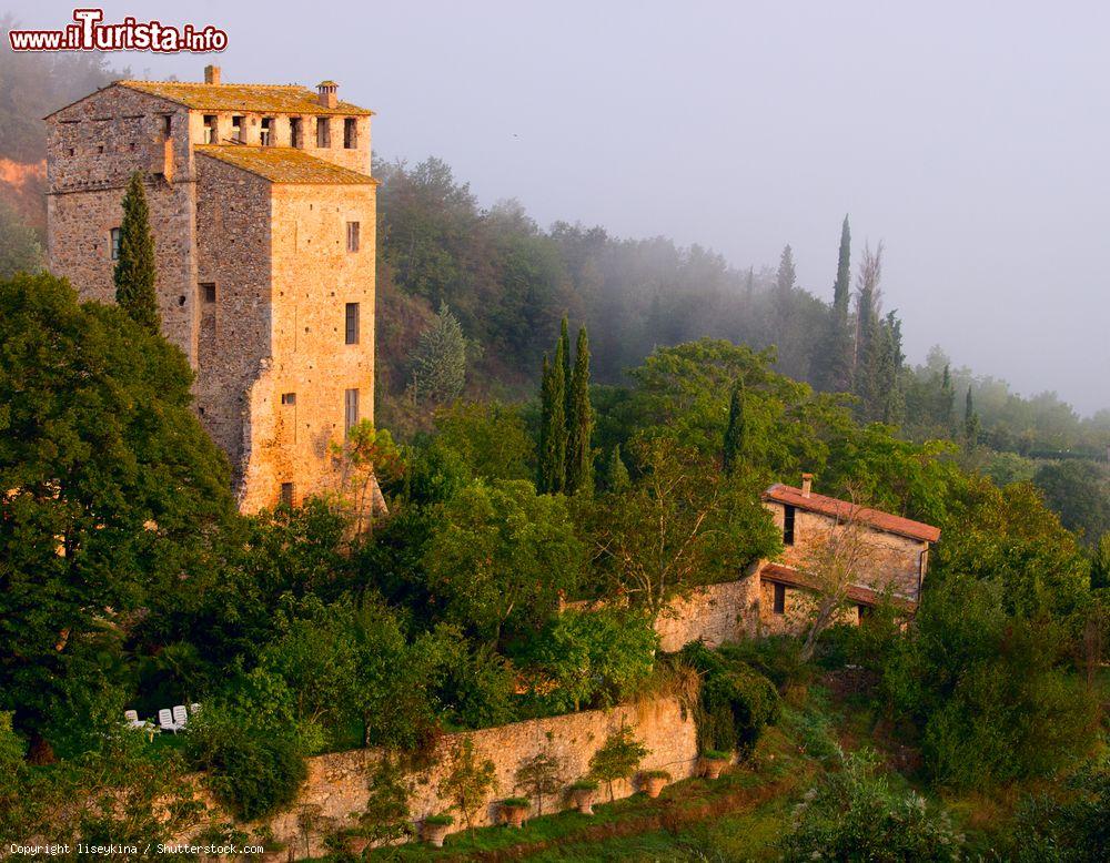 Immagine La torre del Castello di Stigliano vicino a Sovicille in Toscana - © liseykina / Shutterstock.com
