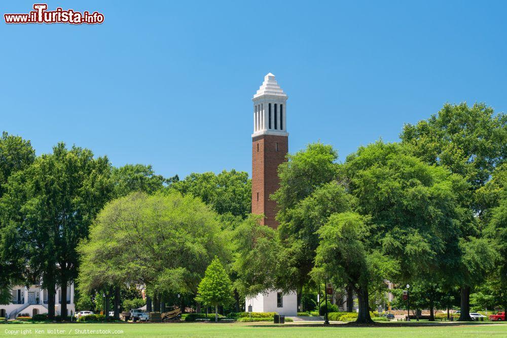 Immagine La torre Denny Chimes  al campus dell'Università dell'Alabama nella città di Tuscaloosa, USA. E' il campanile dell'università cittadina: realizzata in art déco, s'innalza per 35 metri - © Ken Wolter / Shutterstock.com