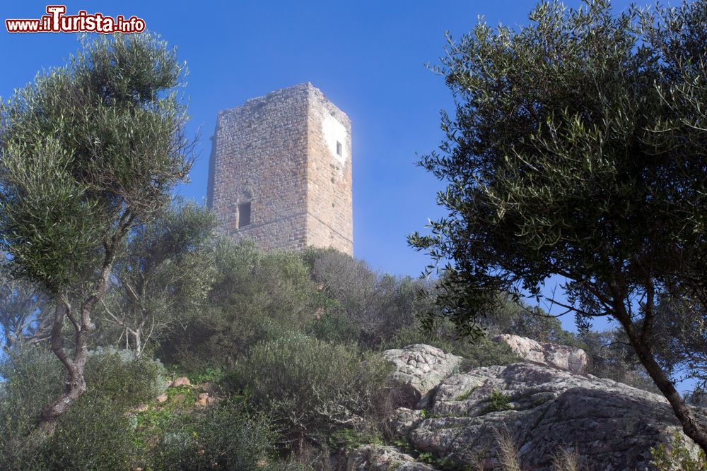 Le foto di cosa vedere e visitare a Casteldoria