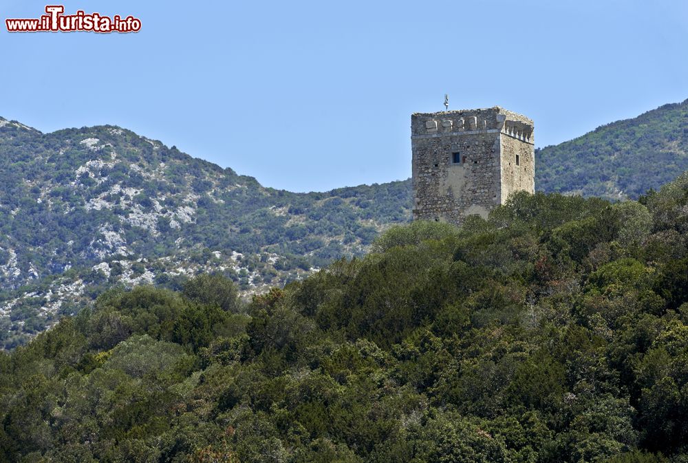 Immagine La torre di Collelungo nel Parco dell'uccellina ad Alberese in Toscana