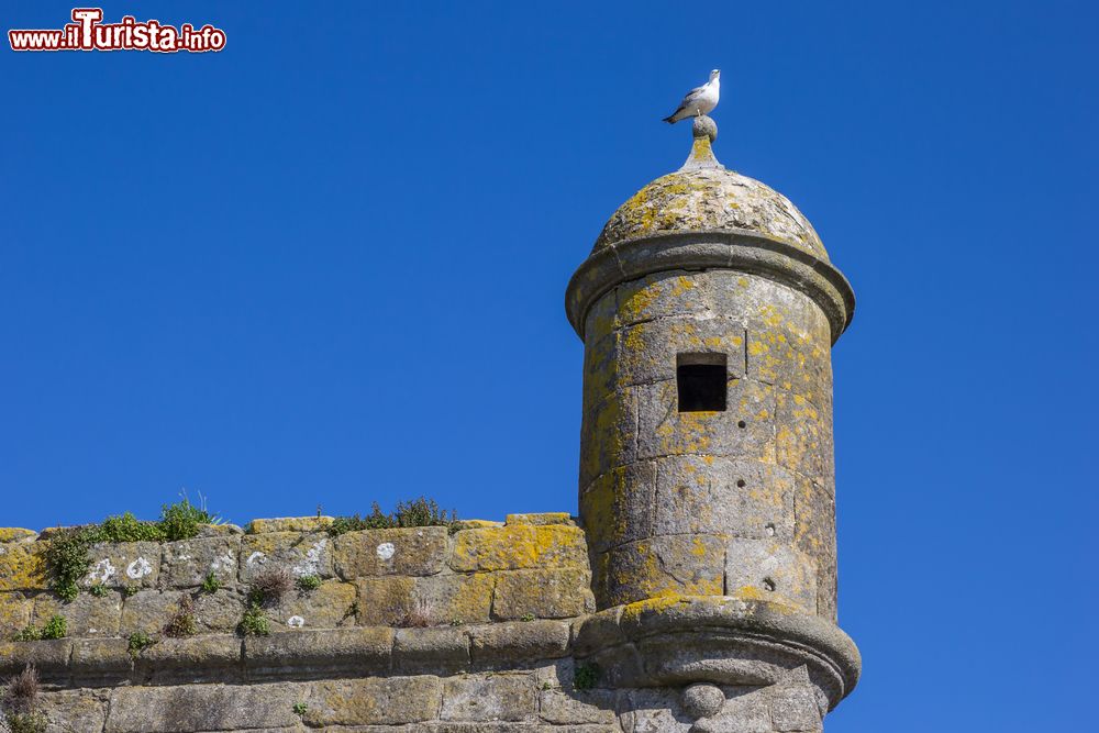 Immagine La torre di guardia della fortezza di Viana do Castelo, Portogallo.