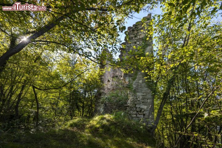 Immagine Immersa nella vegetazione a Lezzeno potete ammirare la Torre di Rozzo, una delle fortificazioni sul Lago di Como - © www.triangololariano.it