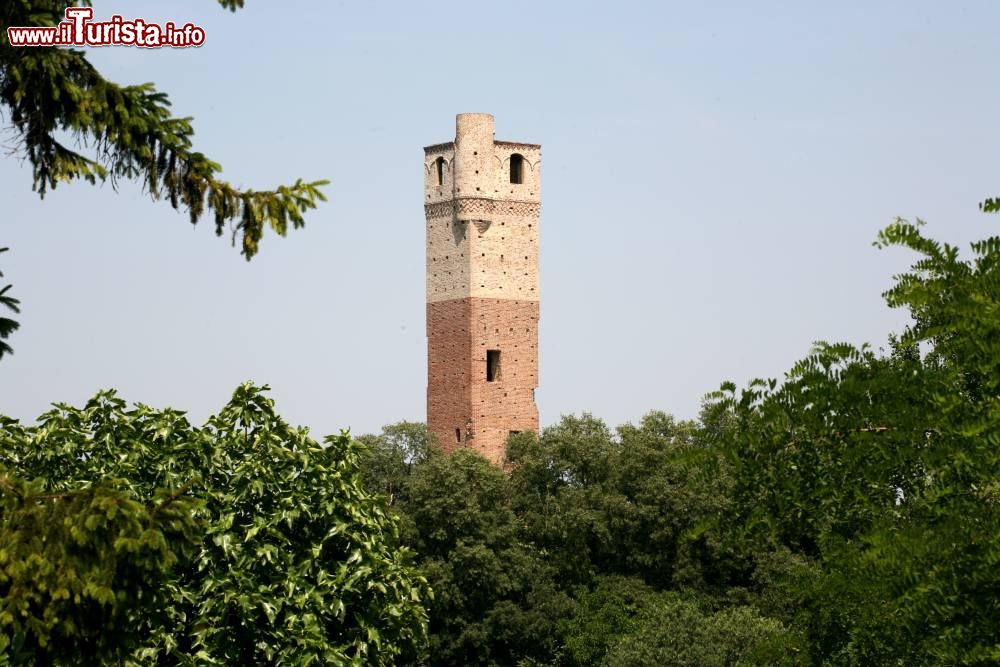Immagine La Torre medievale di Cervere, simbolo della città del Piemonte