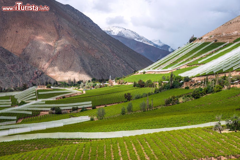 Immagine La valle di Elqui, Cile: qui ci sono colline coltivate a vigneti e piccoli paesini che hanno conciliato l'agricoltura con il turismo.